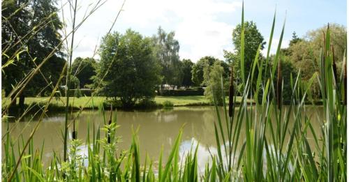 Evasion en Champagne, proche de Paris et des 2 Parcs gîte à louer Verdelot