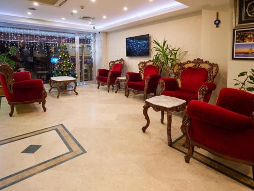 Istanbul Newcity Hotel, Istanbul (photo 4)