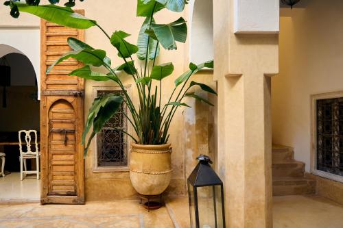 Riad Nomada - image 9
