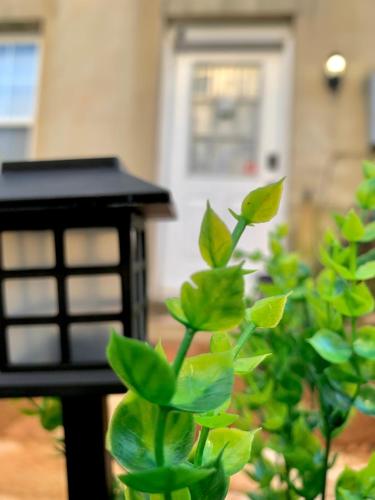 Woodside Cottage Private Woodside Cottage Private