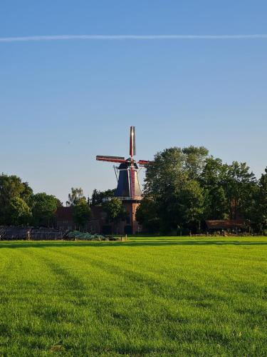 Hiskas Böhn Hiskas Böhn