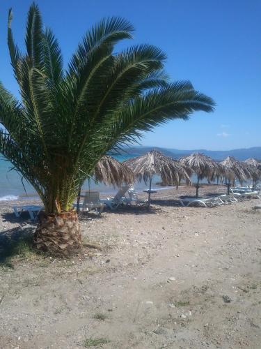 Beach, Evoikos beach & resort in Livanatai