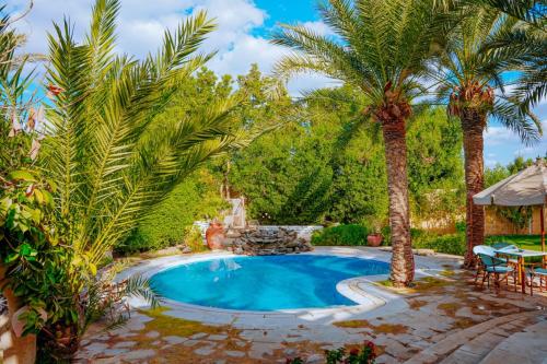 فيلا الديوان - Villa eldiwan, Tunis (fotografie 6)