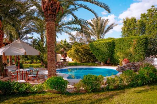 فيلا الديوان - Villa eldiwan, Tunis (fotografie 9)