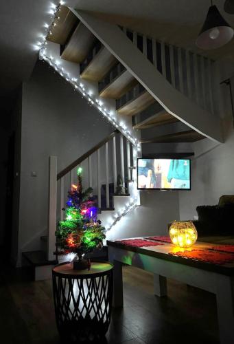 2 bedrooms, 5 beds