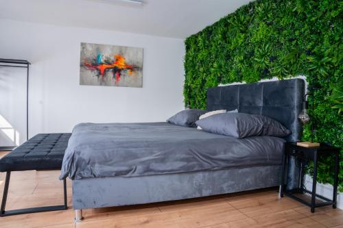 Zimmer in zentraler Lage Rostock No 2 in Kropeliner-Tor-Vorstadt