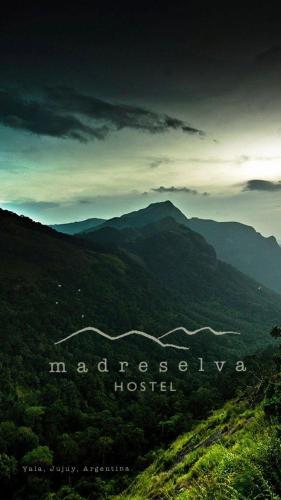Madreselva