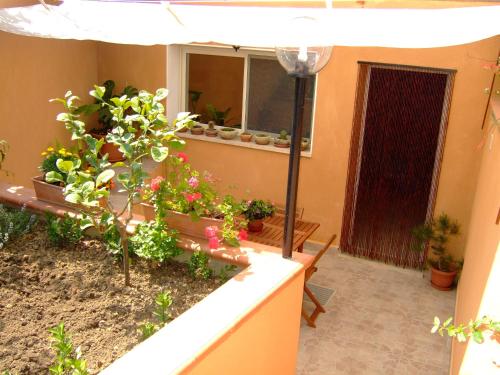Terrazza Mimosa - image 2