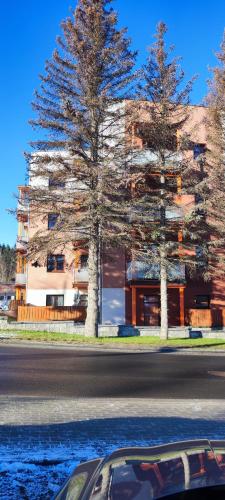 Apartament Słoneczny 11, Szklarska Poręba (foto 11)