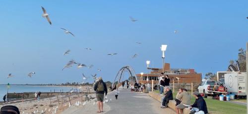 Wongeoon Vast Xenial Home in Frankston