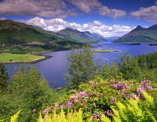 The Glencoe Inn - image 6