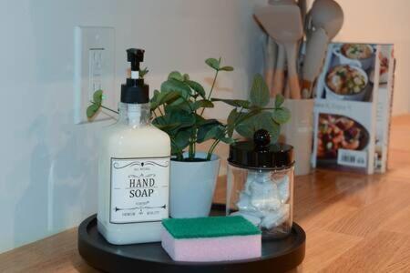 Mountain Modern Apartment in 阿爾卑斯(WY)