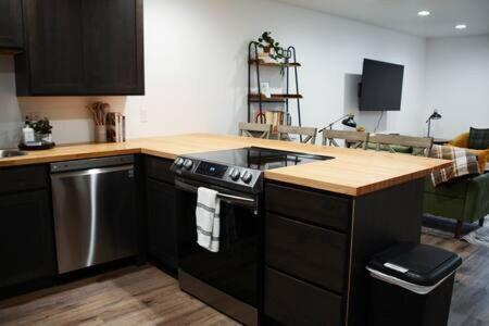 Mountain Modern Apartment in 阿爾卑斯(WY)