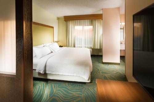 King Suite with Sofa Bed