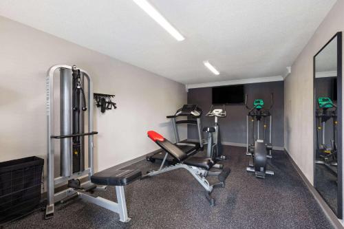LỊCH TẬP GYM CHUYÊN NGHIỆP CỦA STEVEN CAO VẬN ĐỘNG VIÊN THỂ HÌNH NỔI TIẾNG