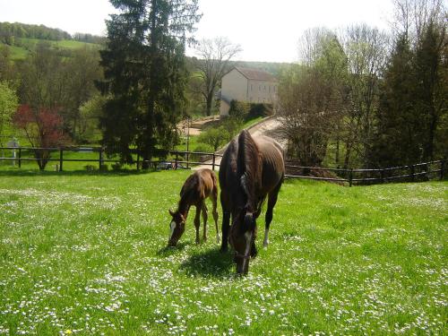 Relais De La Vallée De L'ource