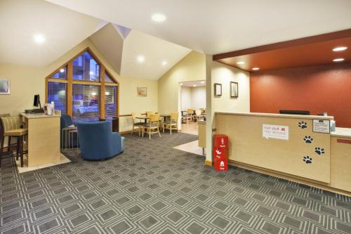 TownePlace Suites Detroit Sterling Heights - image 9
