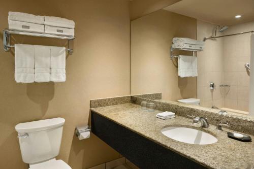 Traditional, Guest room, 1 King, City view, Main Building image 3