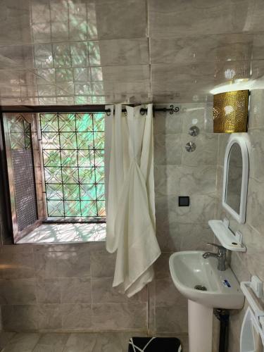 Riad Elaissi Riad Elaissi