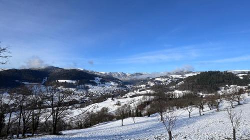 CHEZ LOU ET MAX : UN HAVRE DE PAIX. in Stosswihr