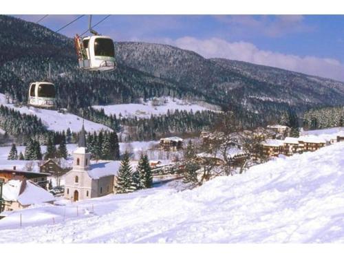 Appartement avec balcon au pied des pistes in Lelex