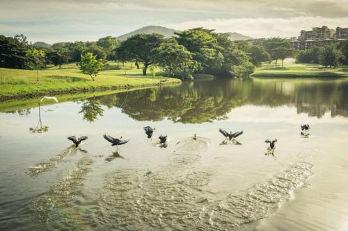 The Westin Reserva Conchal, an All-Inclusive Golf Resort & Spa