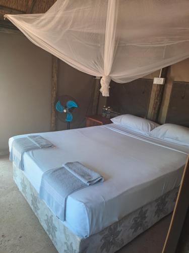1 queen bed