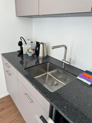 Heimatli - moderne Ferienwohnung im Sörenberg, Sörenberg (Foto 8)