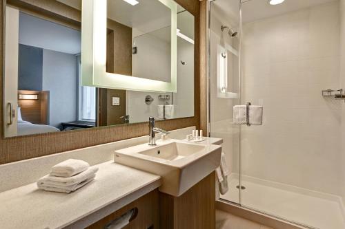 SpringHill Suites by Marriott Albuquerque University Area - image 11