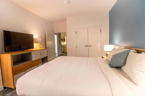 TownePlace Suites by Marriott Houston Conroe - image 10