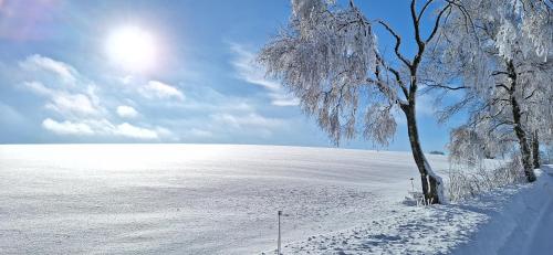 สภาพแวดล้อมโดยรอบ, Landhaus Gnacke in ชมาลเลนเบิร์ก