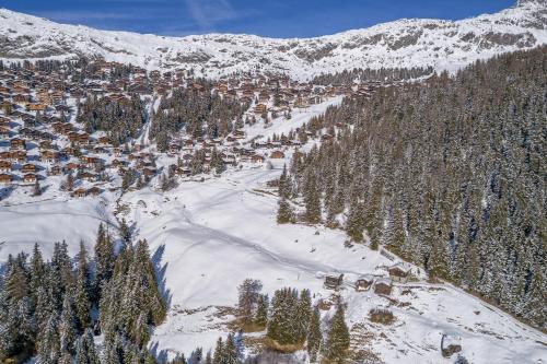 Alphütte Ried, Bettmeralp (fotografie 6)