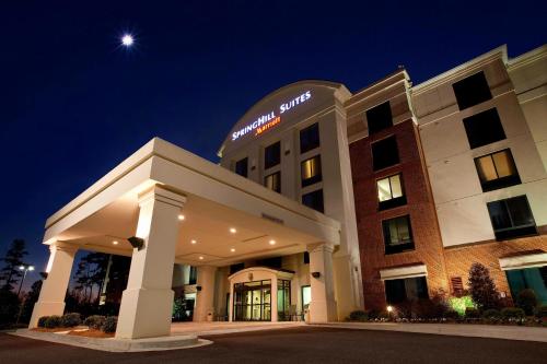 SpringHill Suites by Marriott Athens West, Athens (foto 11)
