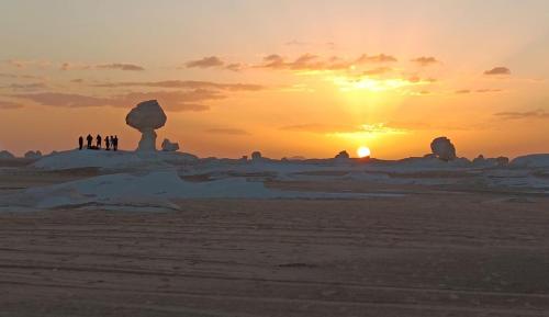 White Desert Egypt Tours in Bawiti