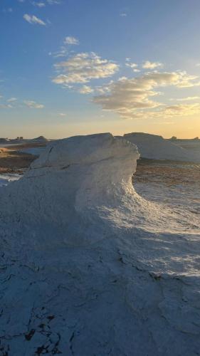 White Desert Egypt Tours in Bawiti