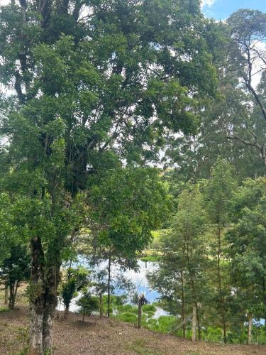 Chácara Canto do Galo, Araucária