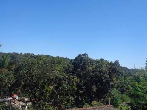 White Lodge, Kandy (foto 8)