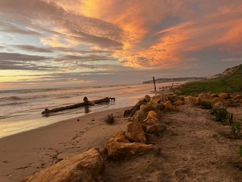 Kilátás, Sirena's Beach & Surf Club in Boca de Briceno