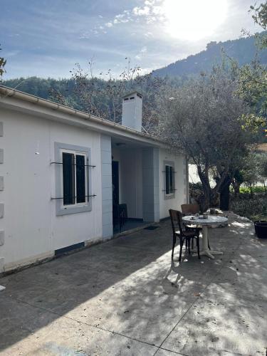 The Cozetreat in Blat