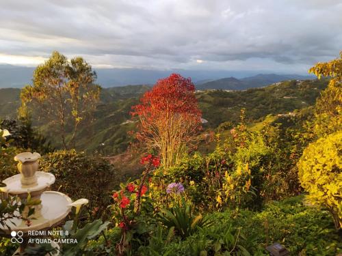 Mirador Finca Morrogacho
