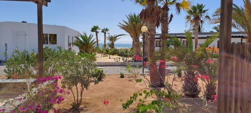 . Vilas Praia de Chaves - sol y mar STANDART