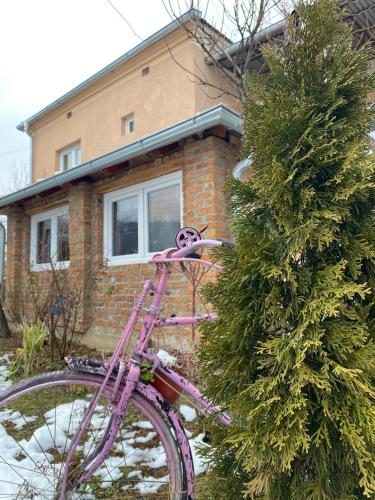 Seosko turističko domaćinstvo Stanišić (Seosko turisticko domacinstvo Stanisic) in Jalovik Izvor