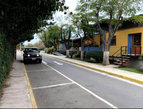 Pingüino en la roca - Concón (Pinguino en la roca - Concon) in Concon