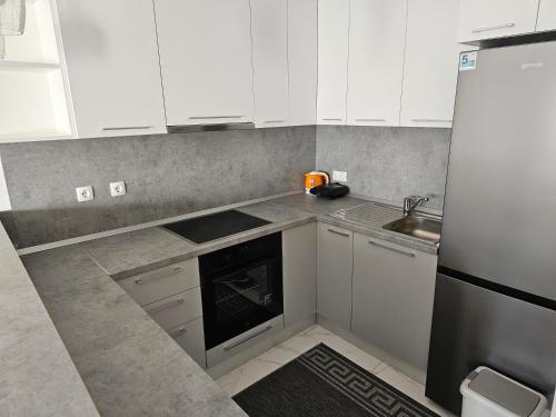 บริการและสิ่งอำนวยความสะดวก, Apartman LARA in เมตโควิก