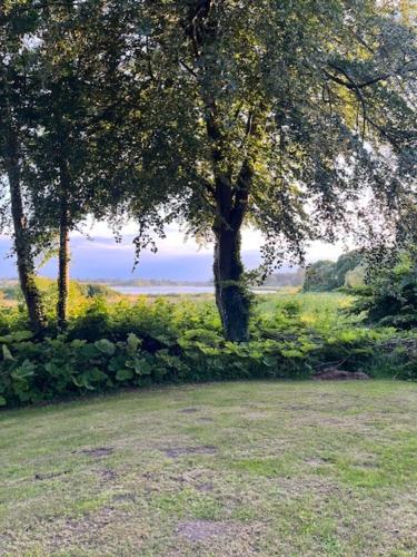Ved Holckenhavn Fjord in Nyborg