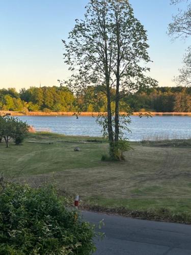 Ved Holckenhavn Fjord in Nyborg