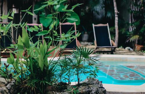 Verdeamar – Tulum, TX