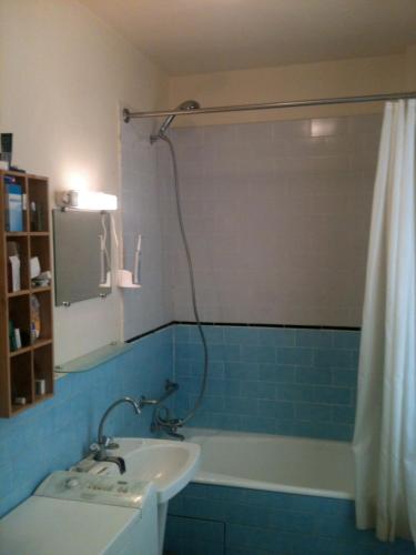 Nice sunny Flat near Eiffel Tower, Parigi (foto 7)