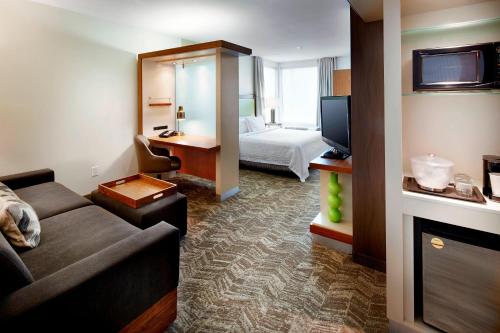 SpringHill Suites by Marriott Columbus OSU, Columbus (fotografie 7)
