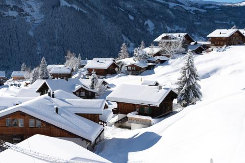 Hotel Lauberhorn - Home for Outdoor Activities - main image